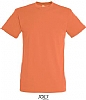 Camiseta Regent Sols - Color Albaricoque 401